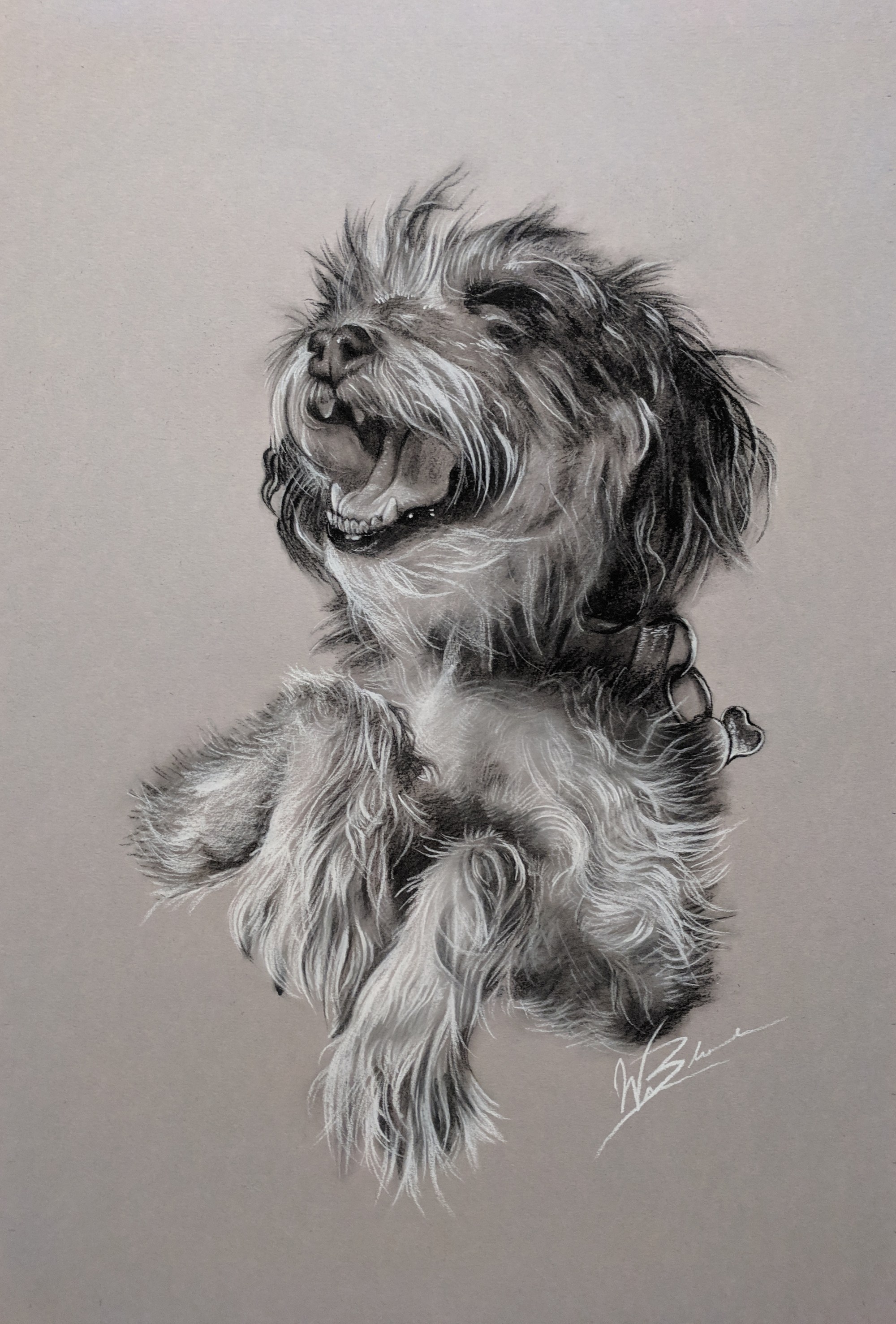 Portrait of Family Dog Named Egan